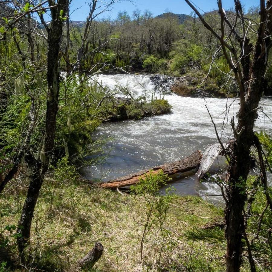 Los Cantos Del Agua Malalcahuello Exterior foto